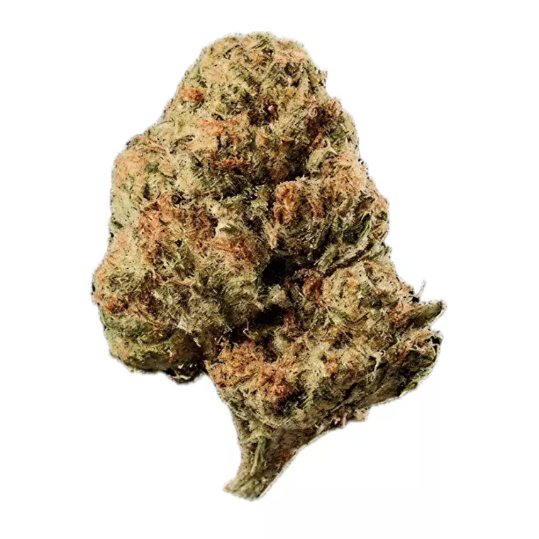 Huala 30/1 CA OSB – Produktbild des Anbieters Bloomwell