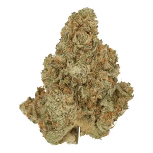 Cannamedical Sativa Forte – Produktbild des Anbieters Bloomwell