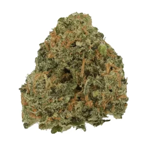 Cannamedical Sativa forte NM – Produktbild des Anbieters Bloomwell