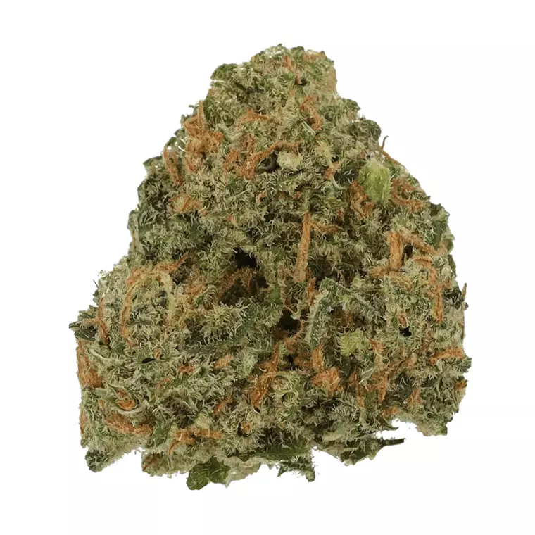 Cannamedical Sativa forte NM – Produktbild des Anbieters Bloomwell