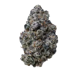 Barongo 24/1 BC – Produktbild des Anbieters Bloomwell