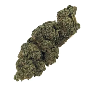Canify 27/1 CSF Ku. – Produktbild des Anbieters Bloomwell