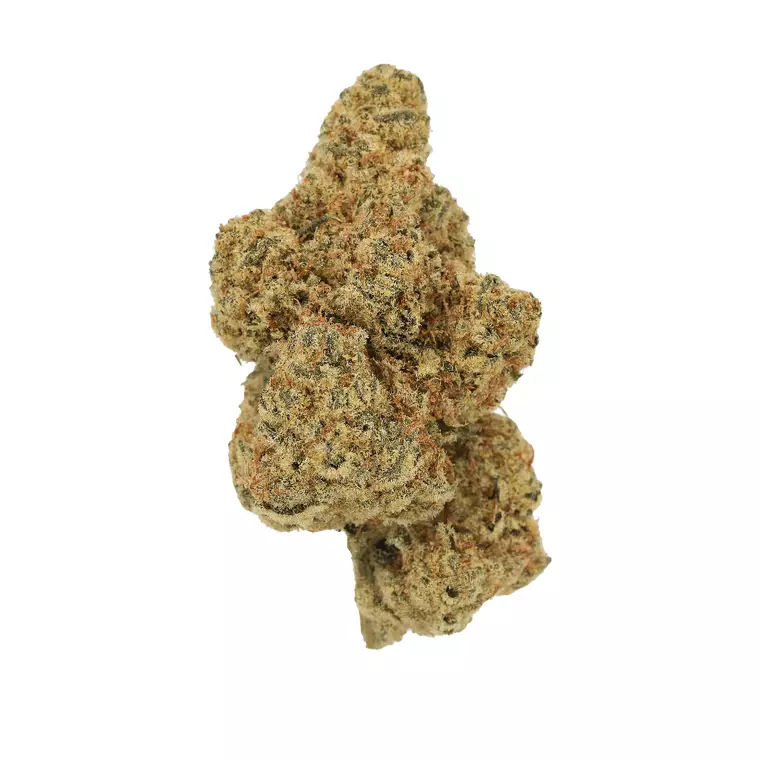 Cannamedical Hybrid forte KA – Produktbild des Anbieters Bloomwell
