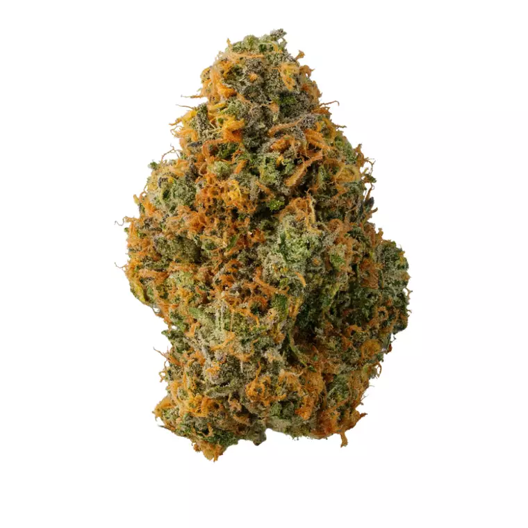 Doja 26/1 Z – Produktbild des Anbieters Bloomwell