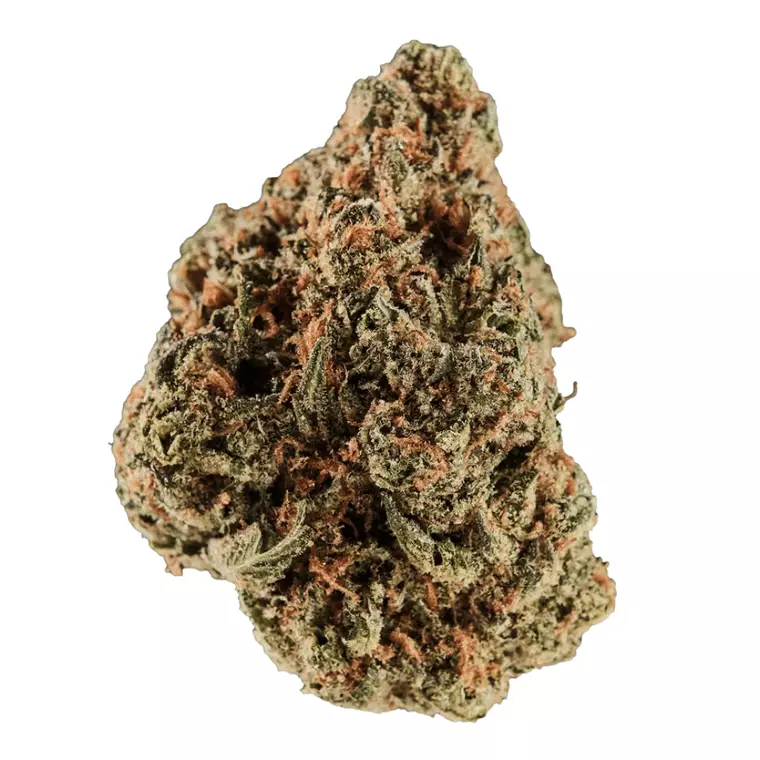 Huala 30/1 UK CIN – Produktbild des Anbieters Bloomwell