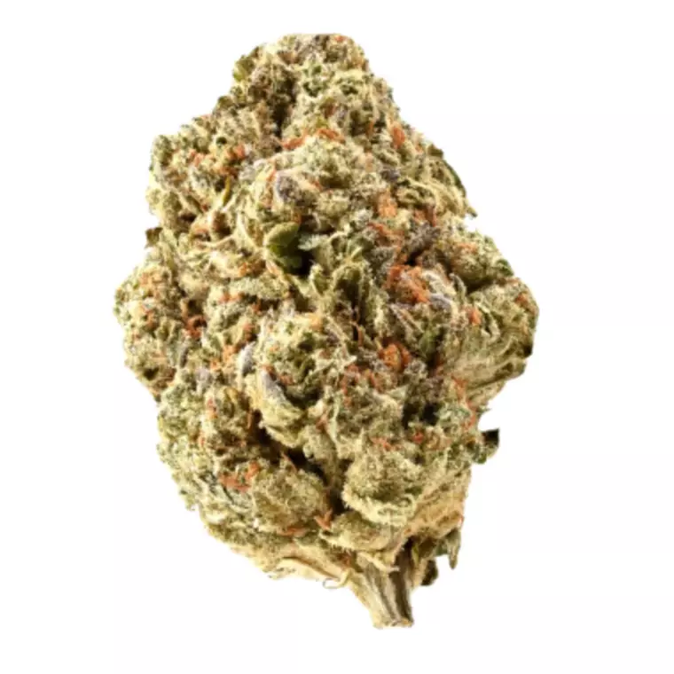 Demecan GT MRSW DROP 25:01 – Produktbild des Anbieters Bloomwell