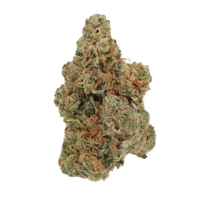 Luana 28/1 GCG – Produktbild des Anbieters Bloomwell