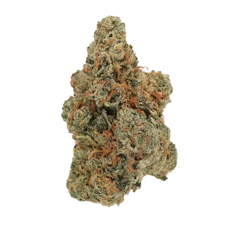 Luana 28/1 GCG – Produktbild des Anbieters Bloomwell