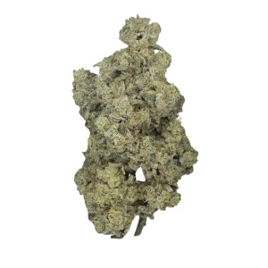 Cookies 26/1 MD – Produktbild des Anbieters Bloomwell