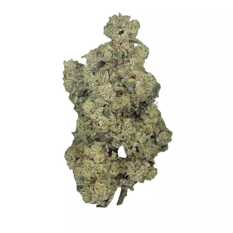 Cookies 26/1 MD – Produktbild des Anbieters Bloomwell