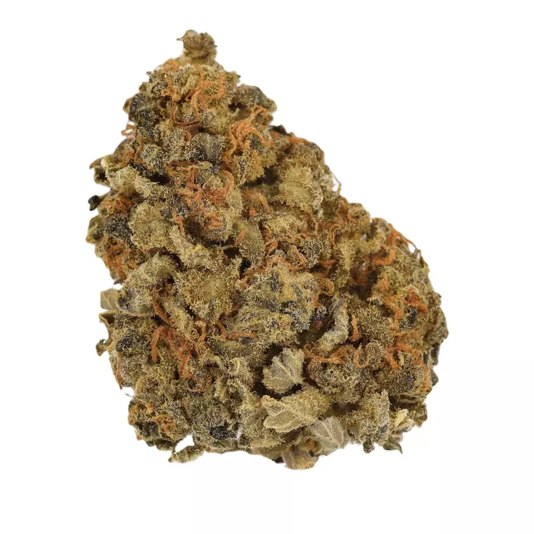 Luana 24/1 APE – Produktbild des Anbieters Bloomwell