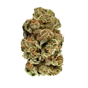 enua 30/1 GLZ CA – Produktbild des Anbieters Bloomwell