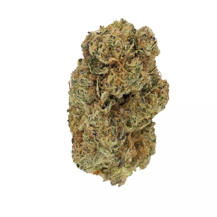 Luana GMS 28/1 – Produktbild des Anbieters Bloomwell