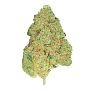 Pedanios 31/1 COS-CA – Produktbild des Anbieters Bloomwell