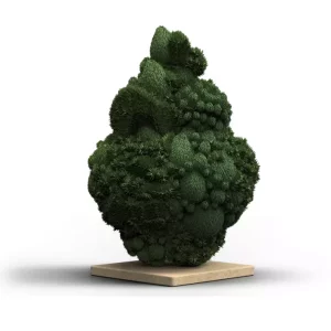 Sinceritas Sativa Verum 24/1 BG – Produktbild des Anbieters Bloomwell