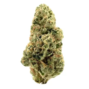 TRUU PS 30:01 – Produktbild des Anbieters Bloomwell