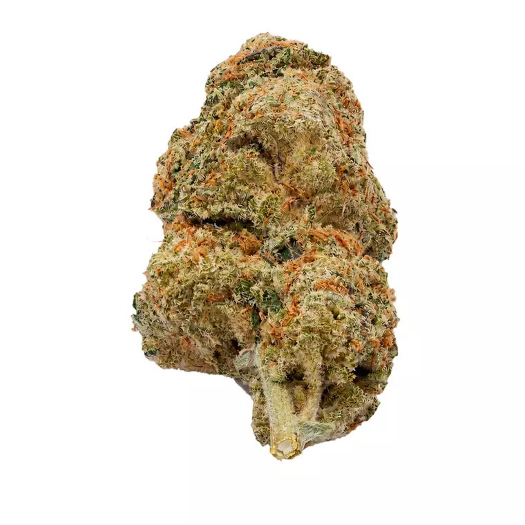 HUALA 27/1 CA MOJ – Produktbild des Anbieters Bloomwell