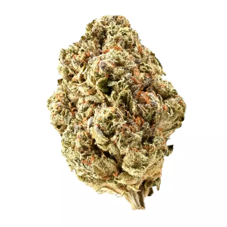 Demecan GT MRSW Drop 22:01 – Produktbild des Anbieters Bloomwell