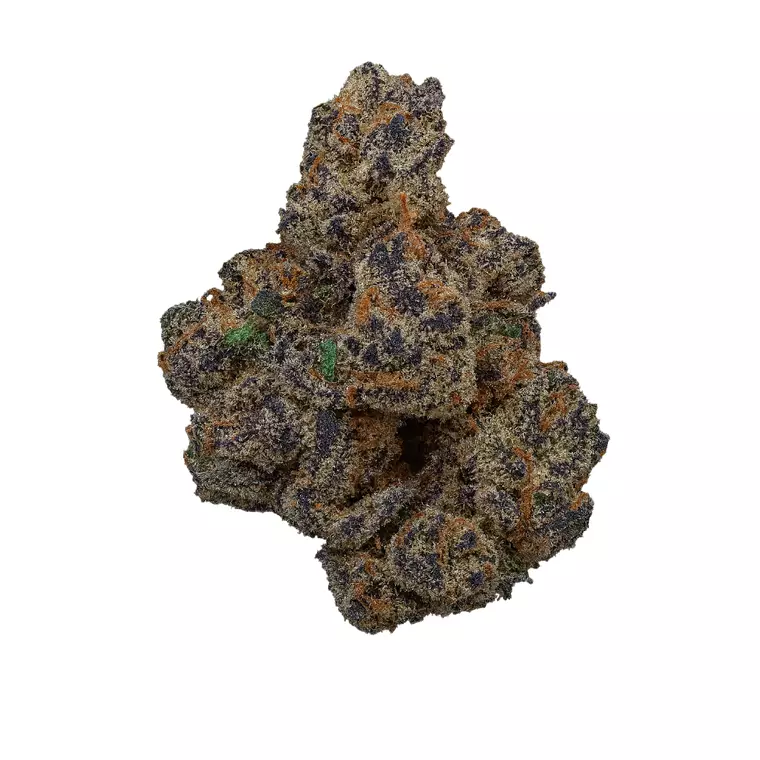 AMICI 26/1 CHG – Produktbild des Anbieters Bloomwell