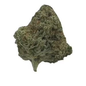 enua 25/1 OVD CA – Produktbild des Anbieters Bloomwell