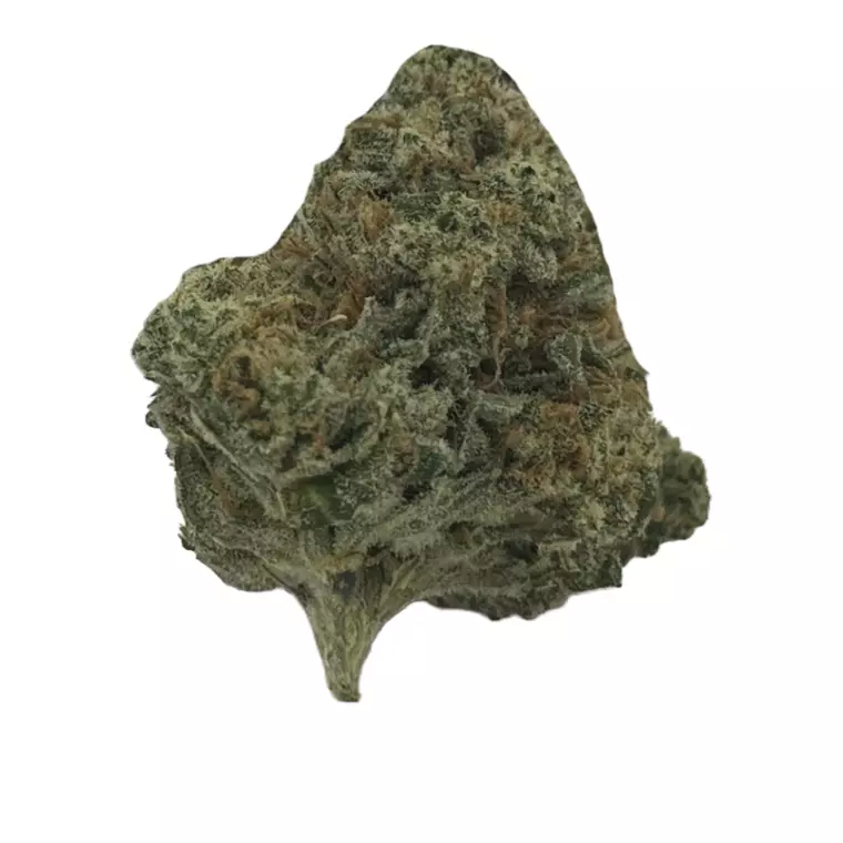 enua 25/1 OVD CA – Produktbild des Anbieters Bloomwell
