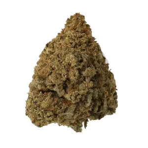 CM 20/1 CRM – Produktbild des Anbieters Bloomwell