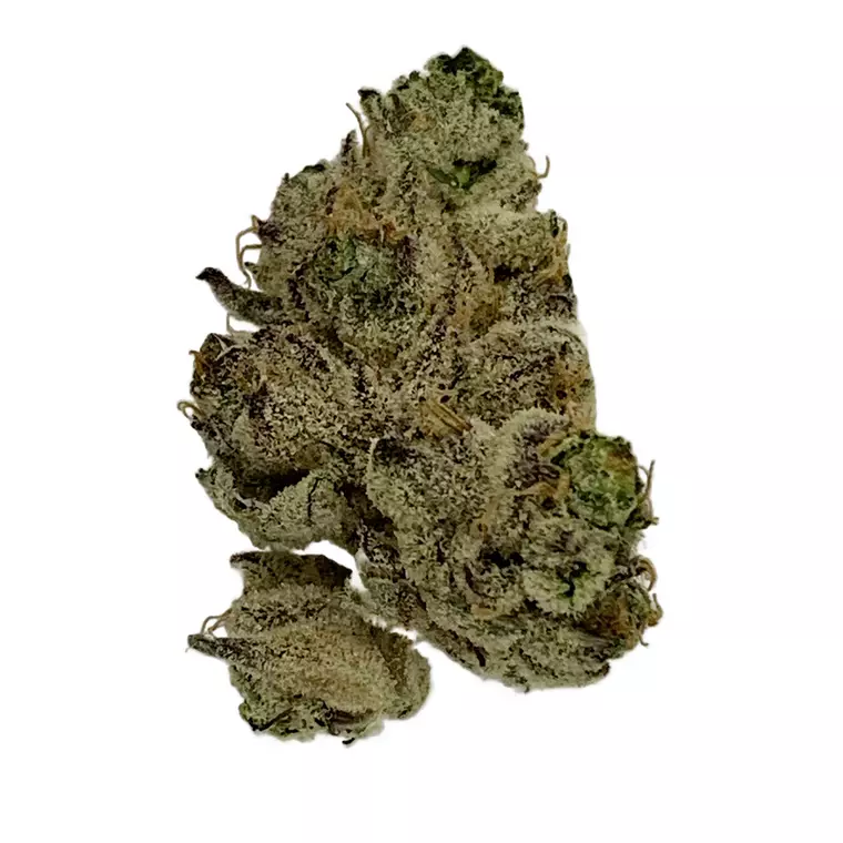 Tilray Craft THC25 PPV – Produktbild des Anbieters Bloomwell
