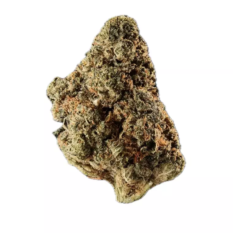 Huala 27/1 CA PIG – Produktbild des Anbieters Bloomwell