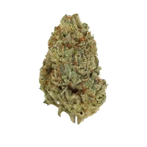 Budza 28/1 RST – Produktbild des Anbieters Bloomwell