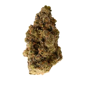NICE 31/1 GSC – Produktbild des Anbieters Bloomwell
