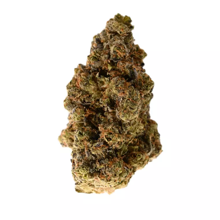 NICE 31/1 GSC – Produktbild des Anbieters Bloomwell