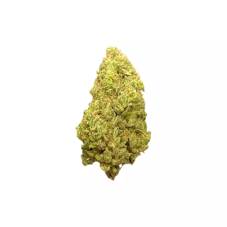 alephSana fire 30/1 – Produktbild des Anbieters Bloomwell