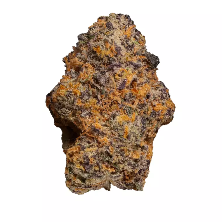 Doja 28/1 ZP – Produktbild des Anbieters Bloomwell