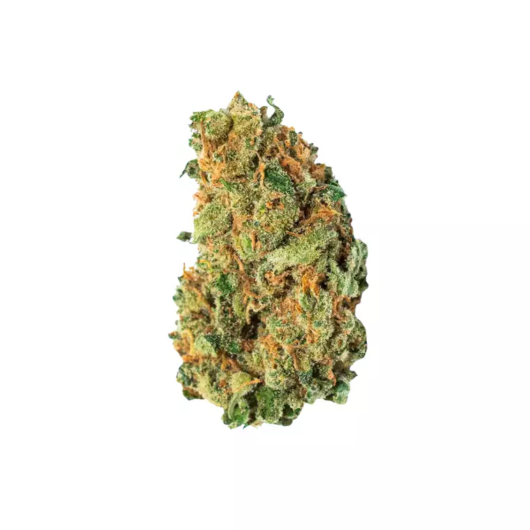 Avaay 28/1 AHC – Produktbild des Anbieters Bloomwell