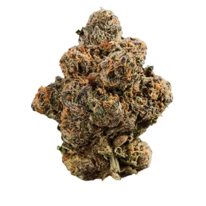 420 Compound 30/1 CA GAP – Produktbild des Anbieters Bloomwell