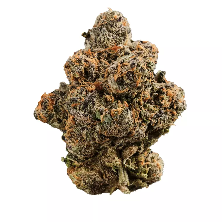420 Compound 30/1 CA GAP – Produktbild des Anbieters Bloomwell