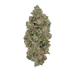 N!CE 33/1 OZK – Produktbild des Anbieters Bloomwell