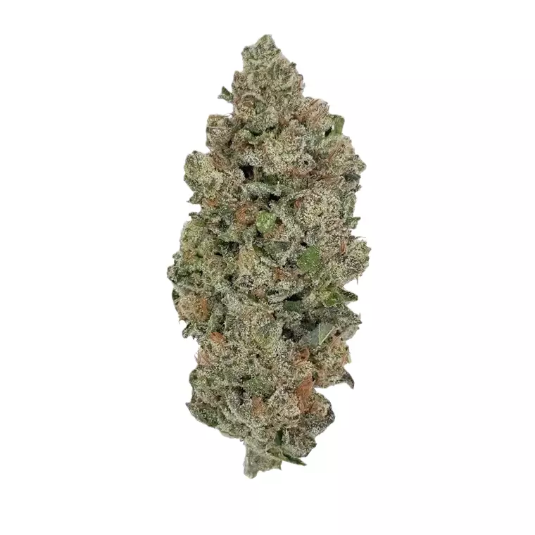 N!CE 33/1 OZK – Produktbild des Anbieters Bloomwell