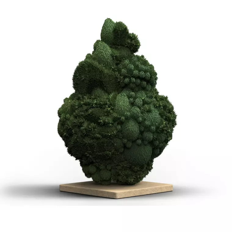 IMC RO THC25 – Produktbild des Anbieters Bloomwell