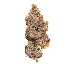 Barongo 24/1 LAX – Produktbild des Anbieters Bloomwell