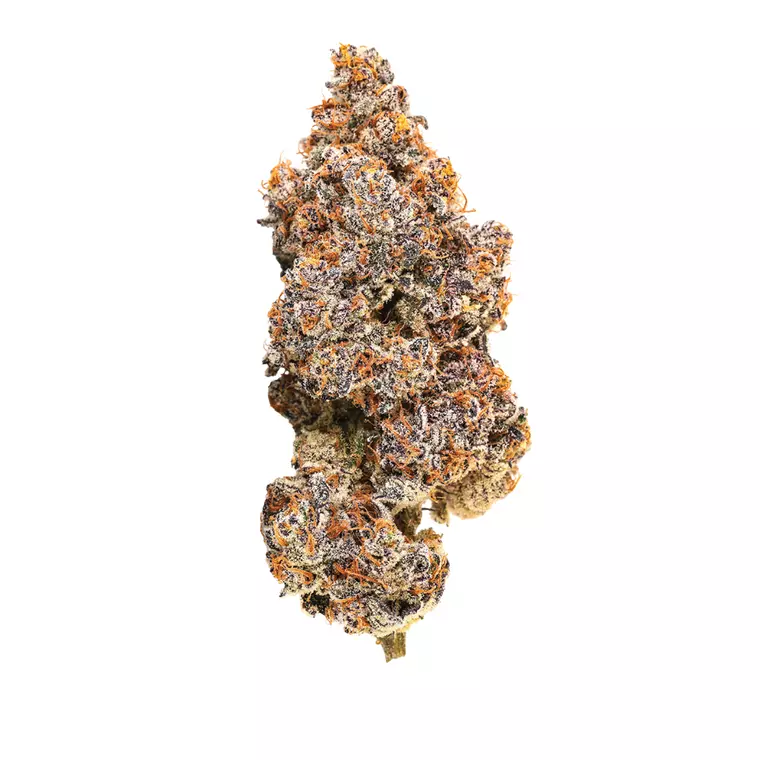 Barongo 24/1 LAX – Produktbild des Anbieters Bloomwell