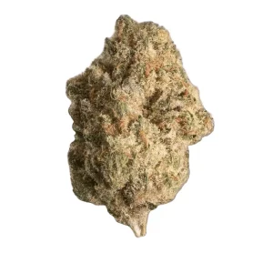 Canopy KMI 30/1 – Produktbild des Anbieters Bloomwell