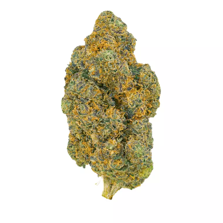 Pedanios 25/1 FLH-CA – Produktbild des Anbieters Bloomwell