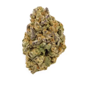 Buuo 30/1 BCC – Produktbild des Anbieters Bloomwell