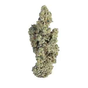 enua 34/1 BC CA – Produktbild des Anbieters Bloomwell