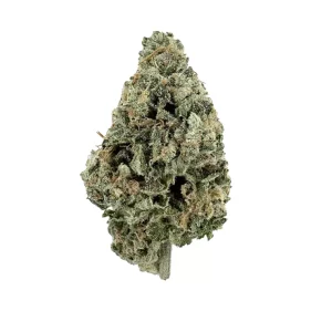 GT GSCK 27:01 Drop – Produktbild des Anbieters Bloomwell