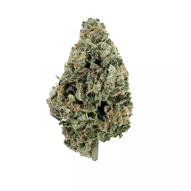 GT GSCK 27:01 Drop – Produktbild des Anbieters Bloomwell