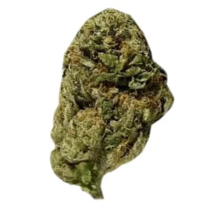 ZOIKS 22/1 AZZ – Produktbild des Anbieters Bloomwell