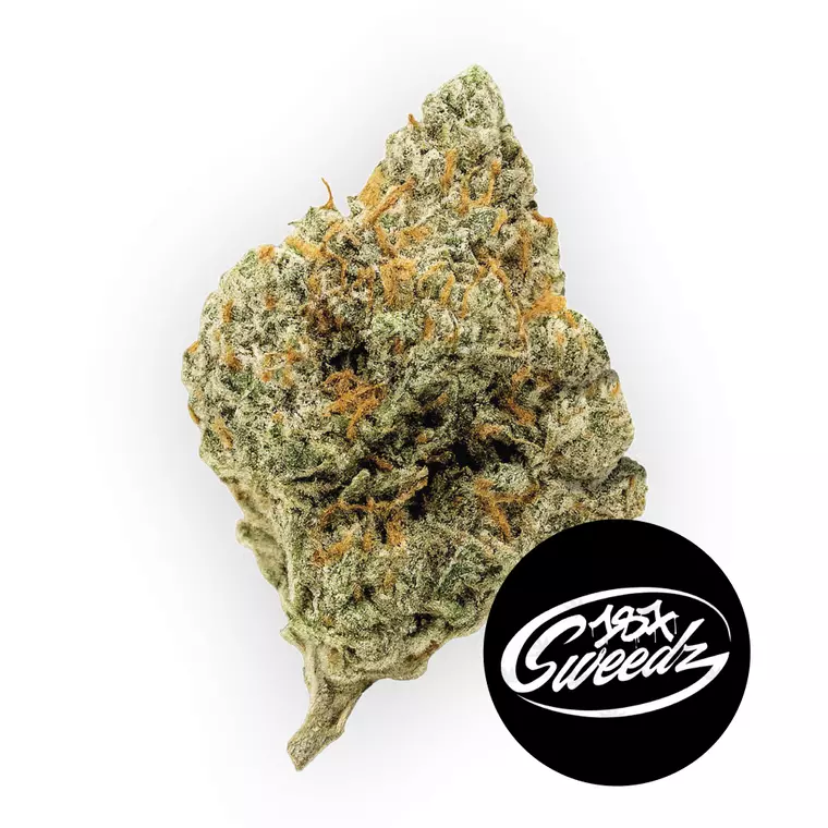 187 Cannabisflower 24k THC25 – Produktbild des Anbieters Bloomwell