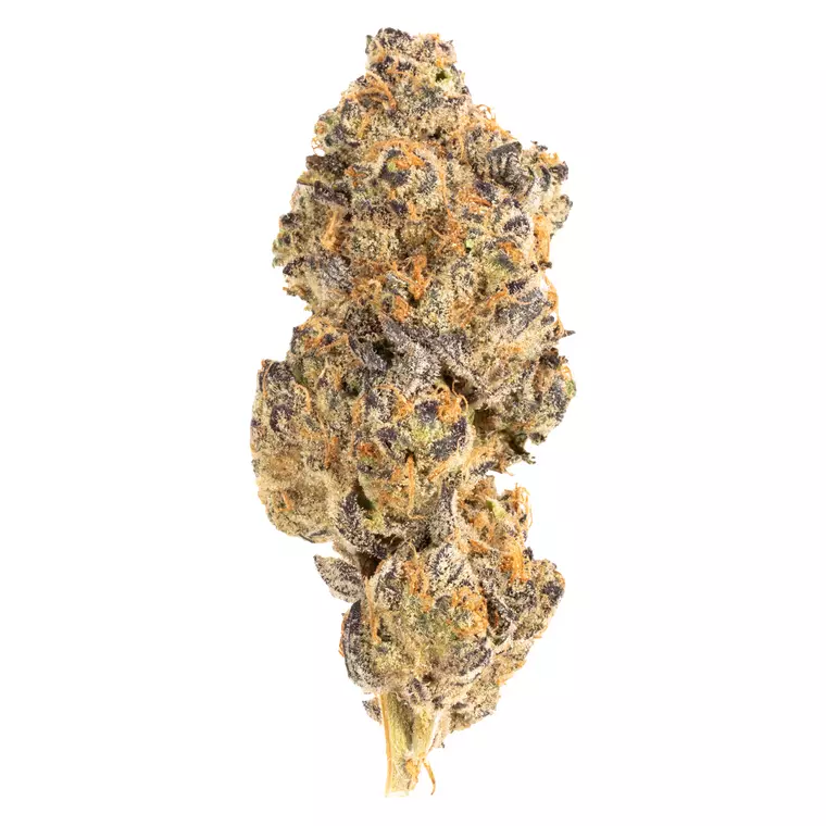 Avaay 28/1 GNC – Produktbild des Anbieters Bloomwell